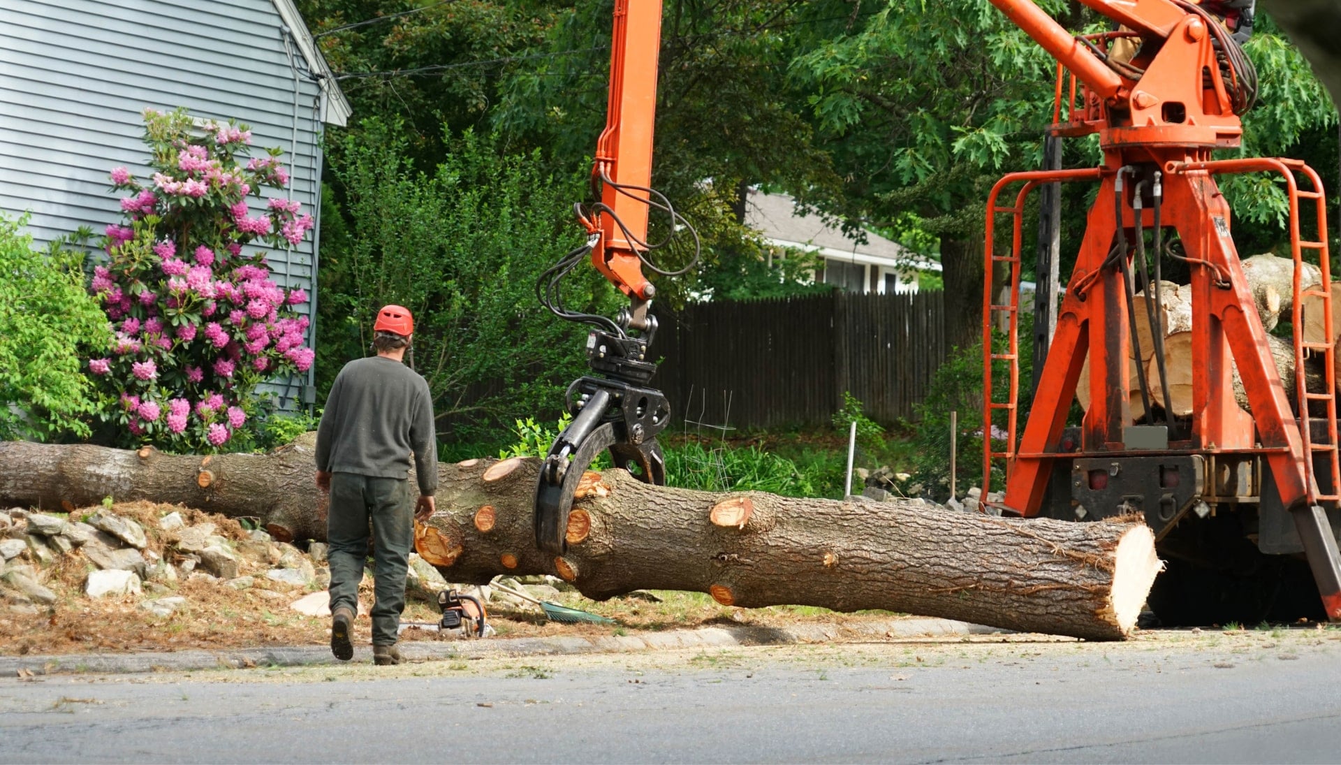 A tree stump has fallen and needs tree removal services in Albuquerque, NM.